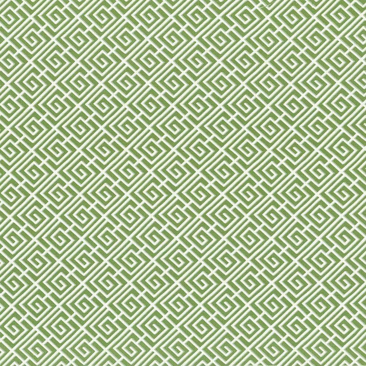 Royal Pagoda Kiwi by Kasmir Fabric 5090 PAKISTAN 15,000 Wyzenbeek Double Rubs H: 4 4/8 inches, V:4 4/8 inches 54 - 55 - Fabric Carolina - Kasmir