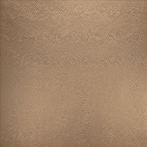 Royce Champagne by Kasmir Fabric