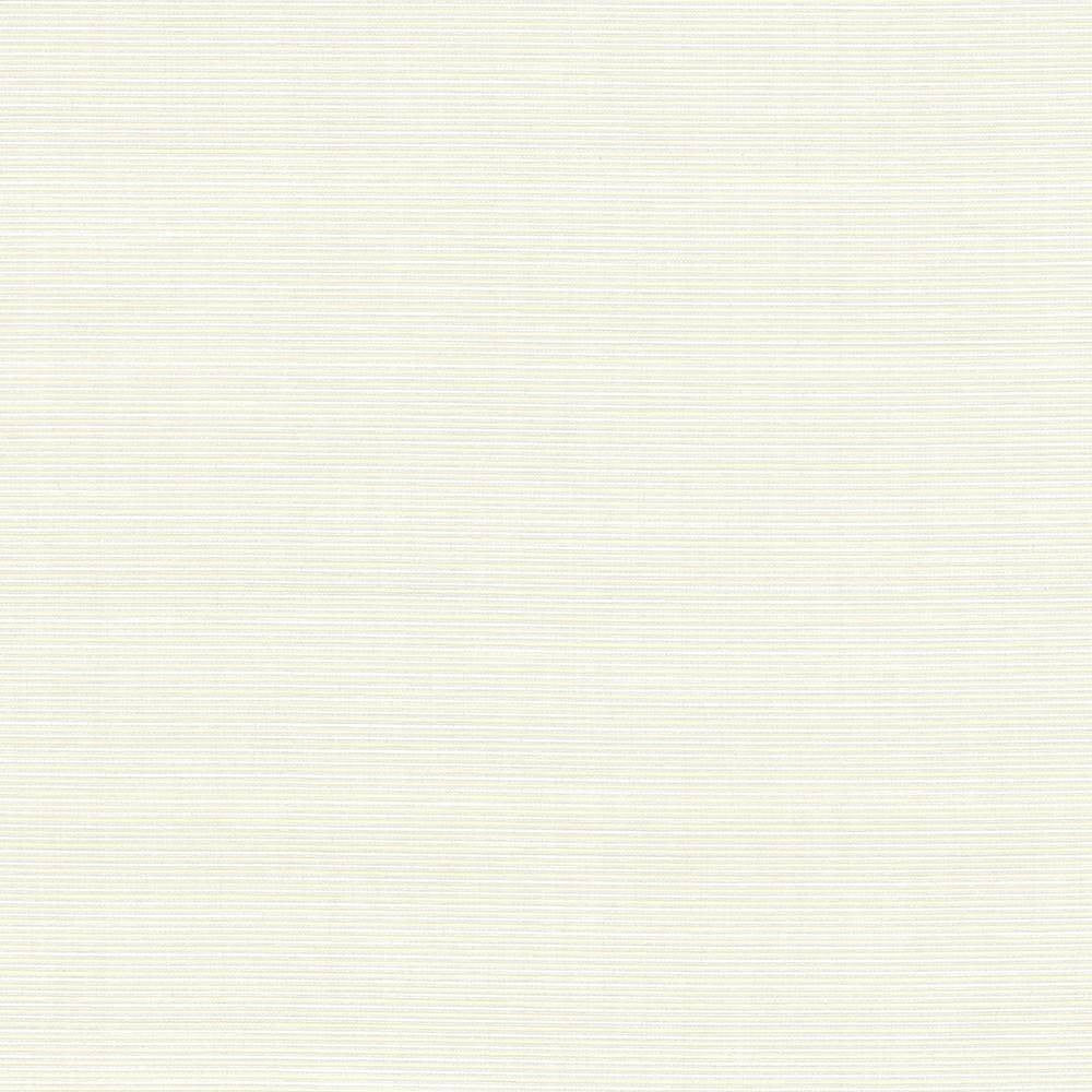 Rue Alabaster by Kasmir Fabric 5030 INDIA 50,000 Wyzenbeek Double Rubs H: N/A, V:N/A 54 - Fabric Carolina - Kasmir