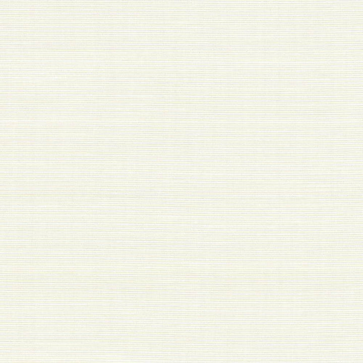 Rue Alabaster by Kasmir Fabric 5030 INDIA 50,000 Wyzenbeek Double Rubs H: N/A, V:N/A 54 - Fabric Carolina - Kasmir