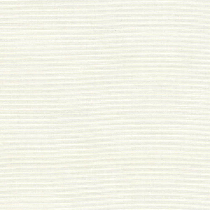 Rue Alabaster by Kasmir Fabric 5030 51% Polyester
49% Cotton
 INDIA 50,000 Wyzenbeek Double Rubs Horizontal: N/A and Vertical: N/A 54 - Fabric Carolina -
