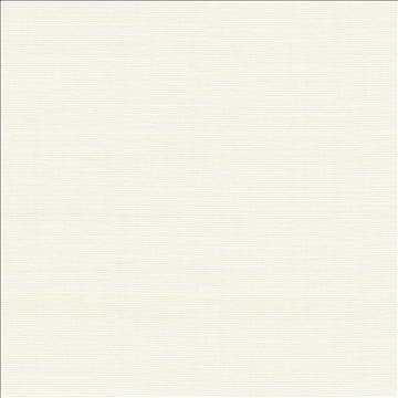 Rue Alabaster by Kasmir Fabric 5030 51% Polyester 49% Cotton INDIA 50,000 Wyzenbeek Double Rubs H: N/A, V: N/A 54 - Fabric Carolina - Kasmir