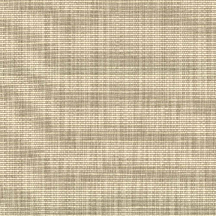 Rue Driftwood by Kasmir Fabric 5030 INDIA 50,000 Wyzenbeek Double Rubs H: N/A, V:N/A 54 - Fabric Carolina - Kasmir