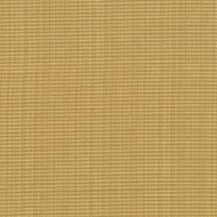 Rue Honeycomb by Kasmir Fabric 5030 INDIA 50,000 Wyzenbeek Double Rubs H: N/A, V:N/A 54 - Fabric Carolina - Kasmir