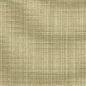 Rue Lemongrass by Kasmir Fabric 5030 51% Polyester 49% Cotton INDIA 50,000 Wyzenbeek Double Rubs H: N/A, V: N/A 54 - Fabric Carolina - Kasmir