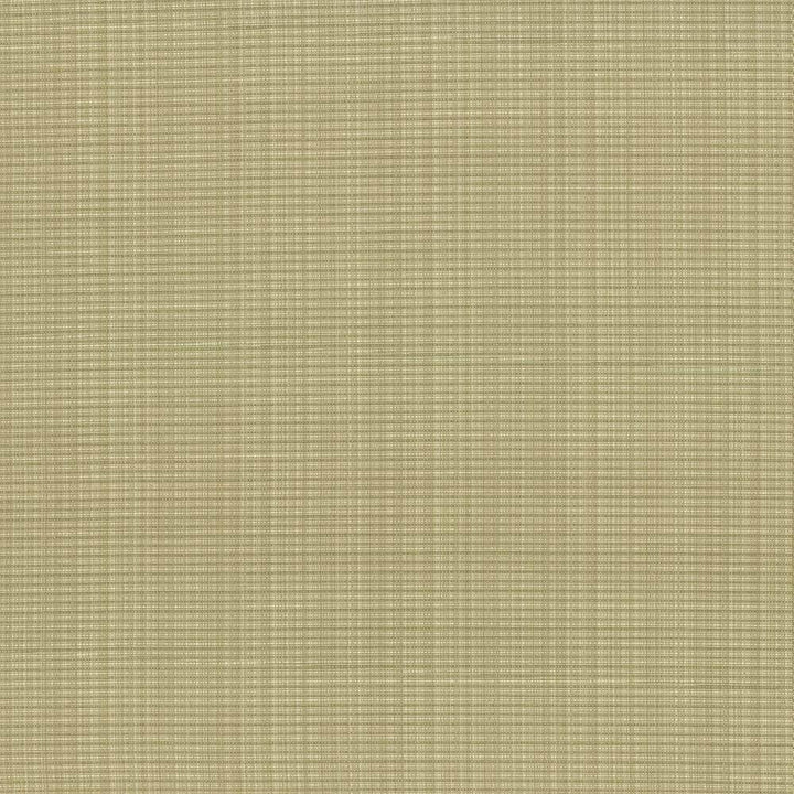 Rue Lemongrass by Kasmir Fabric 5030 INDIA 50,000 Wyzenbeek Double Rubs H: N/A, V:N/A 54 - Fabric Carolina - Kasmir