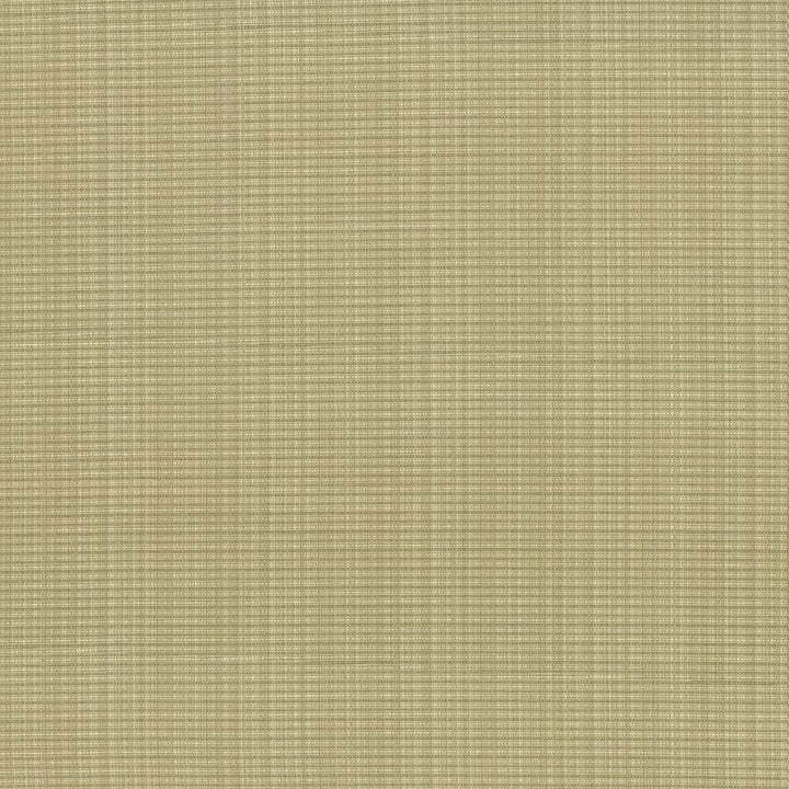 Rue Lemongrass by Kasmir Fabric 5030 51% Polyester
49% Cotton
 INDIA 50,000 Wyzenbeek Double Rubs </p><p>Repeat: Horizontal: N/A and Vertical: N/A 54 - Fabric Carolina -