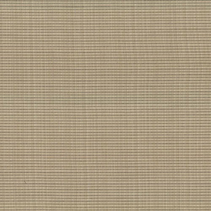 Rue Malt by Kasmir Fabric 5030 51% Polyester
49% Cotton
 INDIA 50,000 Wyzenbeek Double Rubs </p><p>Repeat: Horizontal: N/A and Vertical: N/A 54 - Fabric Carolina -