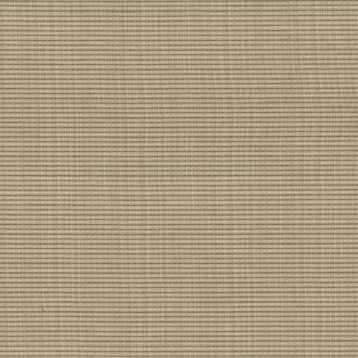 Rue Malt by Kasmir Fabric 5030 INDIA 50,000 Wyzenbeek Double Rubs H: N/A, V:N/A 54 - Fabric Carolina - Kasmir