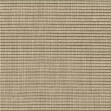 Rue Malt by Kasmir Fabric 5030 51% Polyester 49% Cotton INDIA 50,000 Wyzenbeek Double Rubs H: N/A, V: N/A 54 - Fabric Carolina - Kasmir