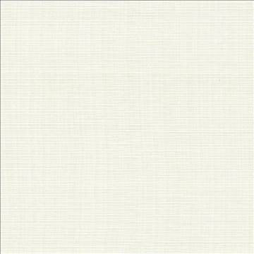 Rue Marble by Kasmir Fabric 5030 51% Polyester 49% Cotton INDIA 50,000 Wyzenbeek Double Rubs H: N/A, V: N/A 54 - Fabric Carolina - Kasmir