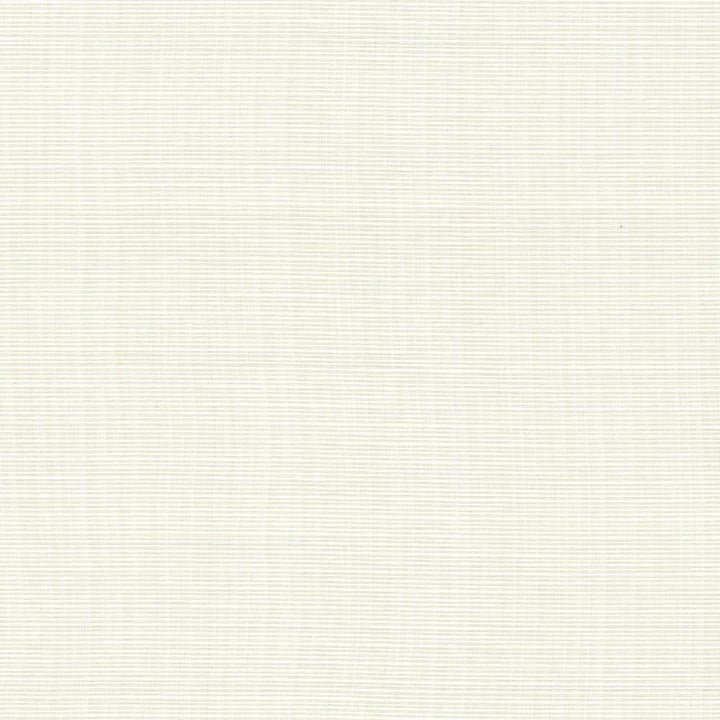 Rue Marble by Kasmir Fabric 5030 51% Polyester
49% Cotton
 INDIA 50,000 Wyzenbeek Double Rubs </p><p>Repeat: Horizontal: N/A and Vertical: N/A 54 - Fabric Carolina -