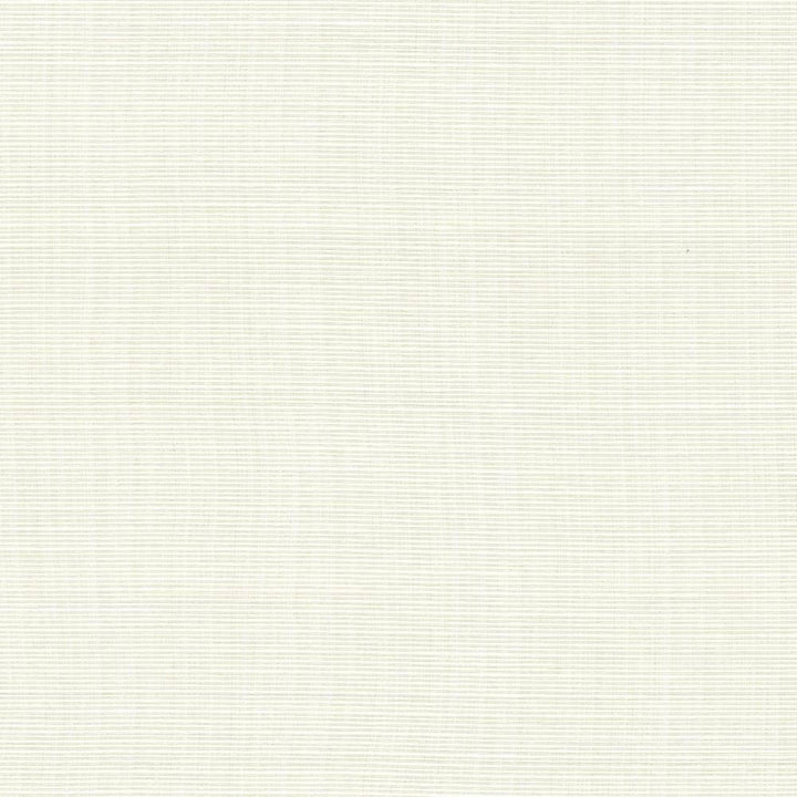Rue Marble by Kasmir Fabric 5030 INDIA 50,000 Wyzenbeek Double Rubs H: N/A, V:N/A 54 - Fabric Carolina - Kasmir