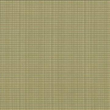 Rue Moss by Kasmir Fabric 5030 51% Polyester 49% Cotton INDIA 50,000 Wyzenbeek Double Rubs H: N/A, V: N/A 54 - Fabric Carolina - Kasmir