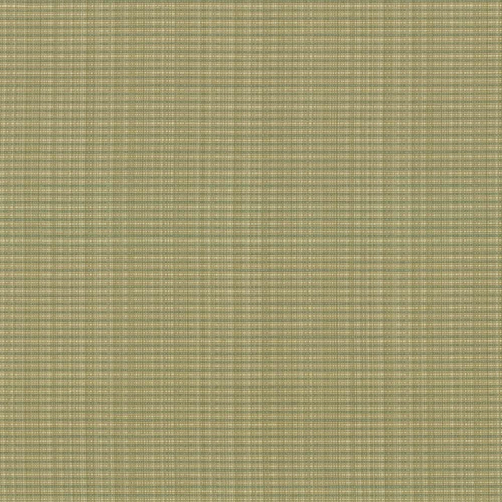 Rue Moss by Kasmir Fabric 5030 51% Polyester
49% Cotton
 INDIA </p><p>Repeat: Horizontal: N/A and Vertical: N/A 54 - Fabric Carolina -