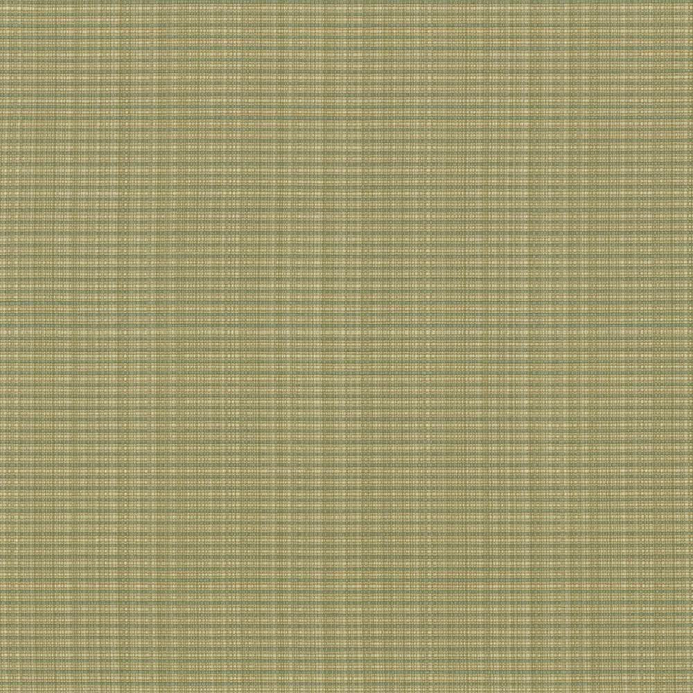 Rue Moss by Kasmir Fabric 5030 INDIA 50,000 Wyzenbeek Double Rubs H: N/A, V:N/A 54 - Fabric Carolina - Kasmir