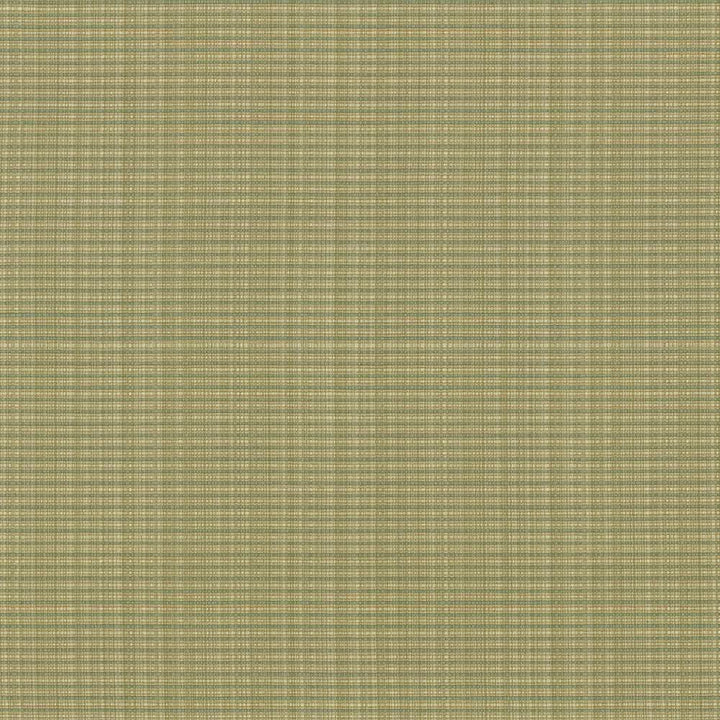 Rue Moss by Kasmir Fabric 5030 INDIA 50,000 Wyzenbeek Double Rubs H: N/A, V:N/A 54 - Fabric Carolina - Kasmir