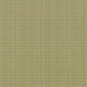 Rue Moss by Kasmir Fabric