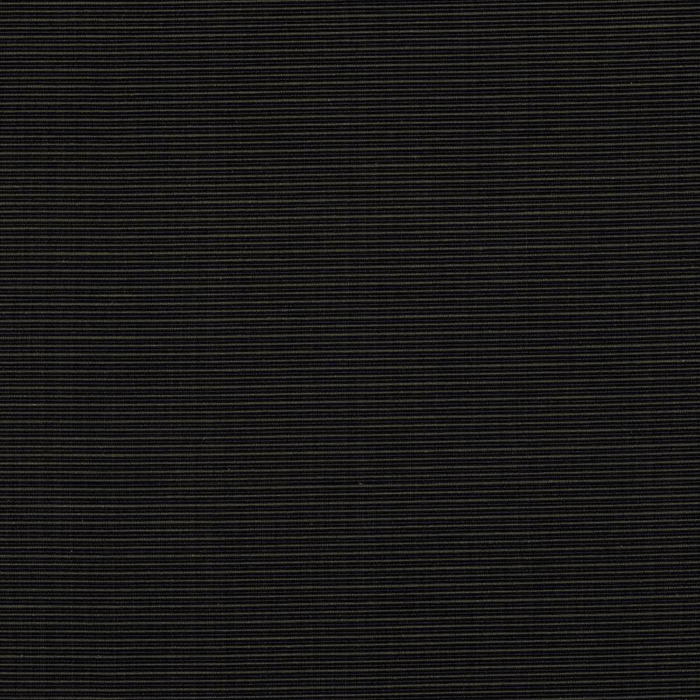 Rue Onyx by Kasmir Fabric 5030 INDIA 50,000 Wyzenbeek Double Rubs H: N/A, V:N/A 54 - Fabric Carolina - Kasmir