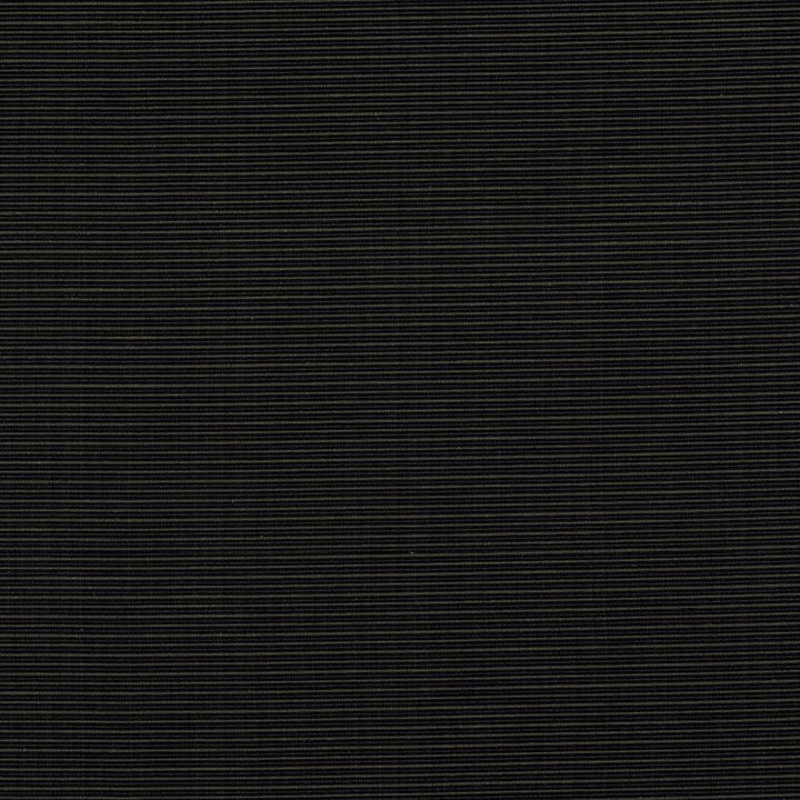 Rue Onyx by Kasmir Fabric 5030 INDIA 50,000 Wyzenbeek Double Rubs H: N/A, V:N/A 54 - Fabric Carolina - Kasmir