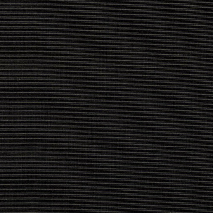 Rue Onyx by Kasmir Fabric 5030 51% Polyester 49% Cotton INDIA 50,000 Wyzenbeek Double Rubs Horizontal: 0 Inches and Vertical: 0 Inches 54 - Fabric Carolina -