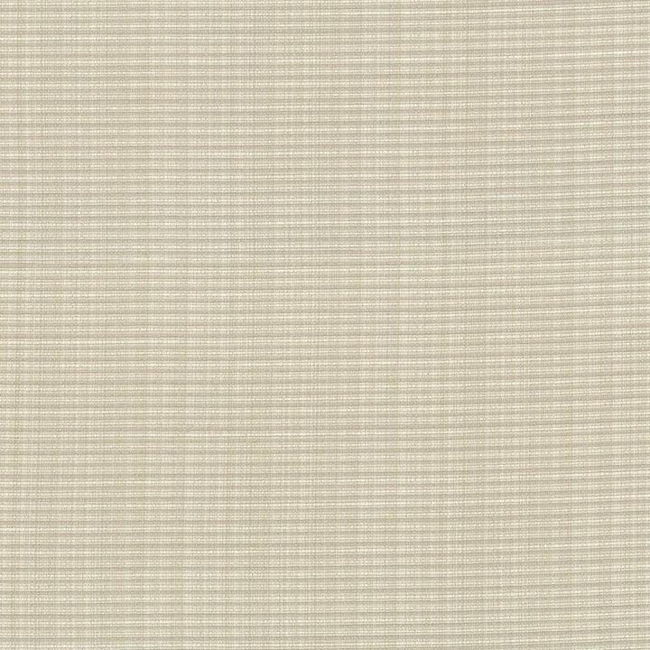 Rue Putty by Kasmir Fabric 5030 INDIA 50,000 Wyzenbeek Double Rubs H: N/A, V:N/A 54 - Fabric Carolina - Kasmir