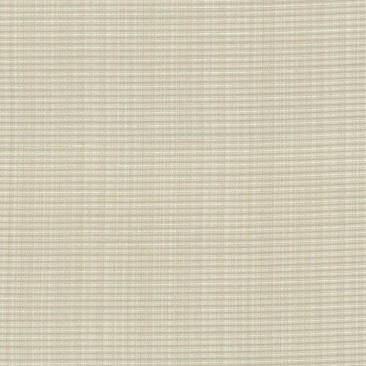 Rue Putty  by Kasmir Fabric See sample 51% Polyester
49% Cotton
 INDIA 50,000 Wyzenbeek Double Rubs </p><p>Repeat: Horizontal: N/A and Vertical: N/A 54  - Fabric Carolina -