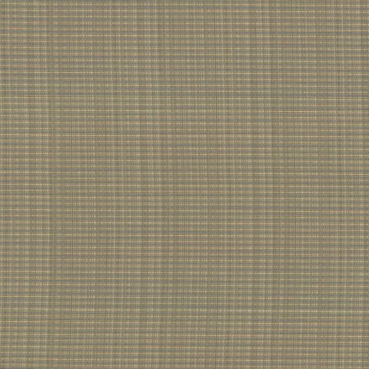 Rue Sage by Kasmir Fabric 5030 INDIA 50,000 Wyzenbeek Double Rubs H: N/A, V:N/A 54 - Fabric Carolina - Kasmir