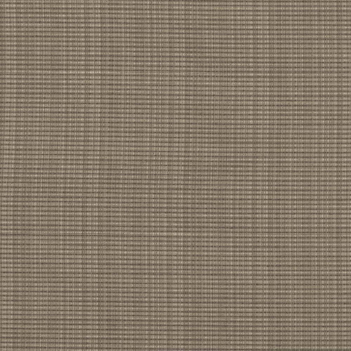 Rue Sepia by Kasmir Fabric 5030 INDIA 50,000 Wyzenbeek Double Rubs H: N/A, V:N/A 54 - Fabric Carolina - Kasmir