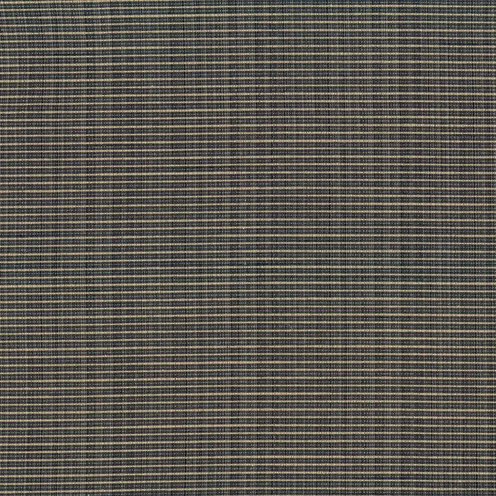 Rue Slate  by Kasmir Fabric See sample 51% Polyester
49% Cotton
 INDIA 50,000 Wyzenbeek Double Rubs </p><p>Repeat: Horizontal: N/A and Vertical: N/A 54  - Fabric Carolina -