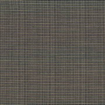 Rue Slate by Kasmir Fabric 5030 51% Polyester 49% Cotton INDIA 50,000 Wyzenbeek Double Rubs H: N/A, V: N/A 54 - Fabric Carolina - Kasmir