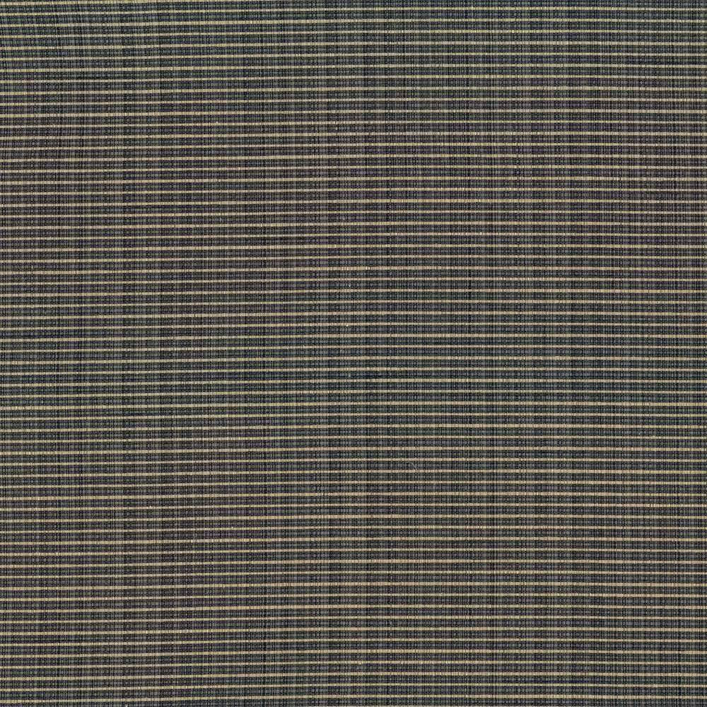 Rue Slate by Kasmir Fabric 5030 INDIA 50,000 Wyzenbeek Double Rubs H: N/A, V:N/A 54 - Fabric Carolina - Kasmir