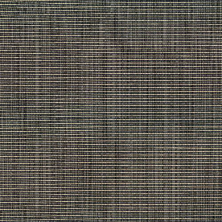 Rue Slate by Kasmir Fabric 5030 INDIA 50,000 Wyzenbeek Double Rubs H: N/A, V:N/A 54 - Fabric Carolina - Kasmir