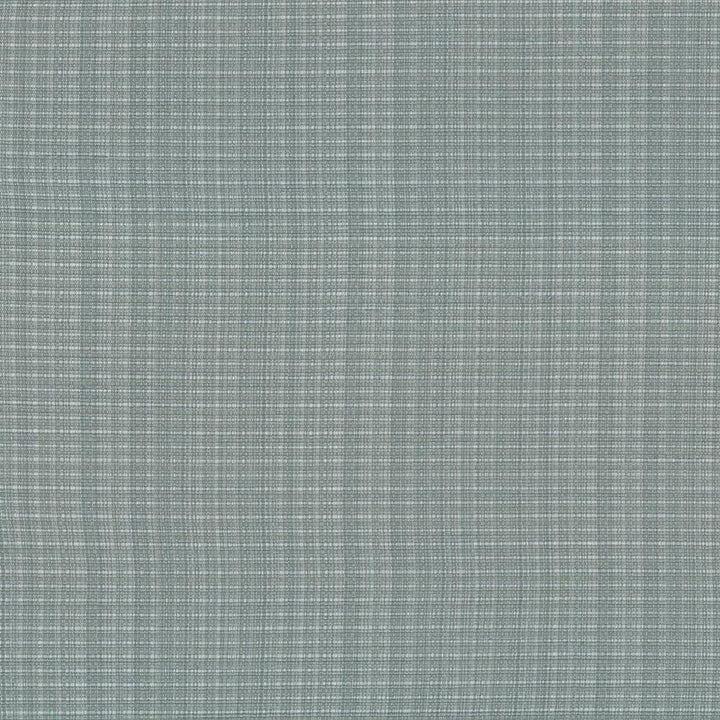 Rue Sterling by Kasmir Fabric 5030 INDIA 50,000 Wyzenbeek Double Rubs H: N/A, V:N/A 54 - Fabric Carolina - Kasmir