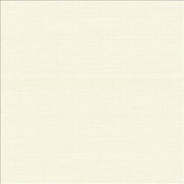 Rue Travertine by Kasmir Fabric 5030 51% Polyester 49% Cotton INDIA 50,000 Wyzenbeek Double Rubs H: N/A, V: N/A 54 - Fabric Carolina - Kasmir