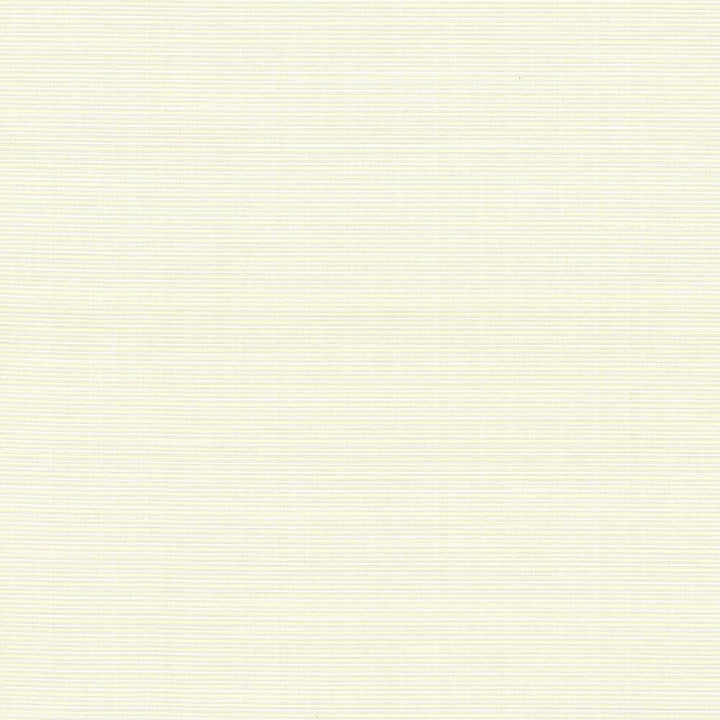 Rue Travertine by Kasmir Fabric 5030 INDIA 50,000 Wyzenbeek Double Rubs H: N/A, V:N/A 54 - Fabric Carolina - Kasmir