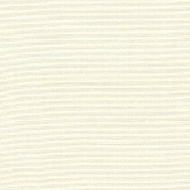 Rue Travertine by Kasmir Fabric 5030 51% Polyester
49% Cotton
 INDIA 50,000 Wyzenbeek Double Rubs Horizontal: N/A and Vertical: N/A 54 - Fabric Carolina -