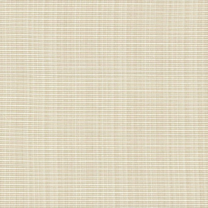 Rue Vanilla by Kasmir Fabric 5030 INDIA 50,000 Wyzenbeek Double Rubs H: N/A, V:N/A 54 - Fabric Carolina - Kasmir