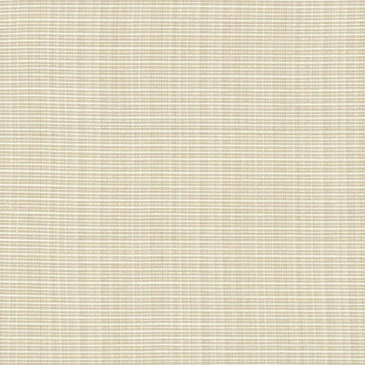 Rue Vanilla by Kasmir Fabric 5030 51% Polyester
49% Cotton
 INDIA </p><p>Repeat: Horizontal: N/A and Vertical: N/A 54 - Fabric Carolina -