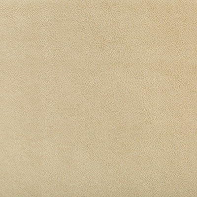 Kravet Design Ruffian-16 by Kravet Design Fabric