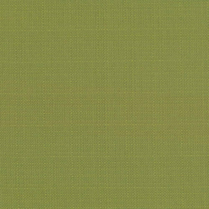 Rumba Apple by Kasmir Fabric 5044 CHINA 42,000 Wyzenbeek Double Rubs H: N/A, V:N/A 56 - 58 - Fabric Carolina - Kasmir