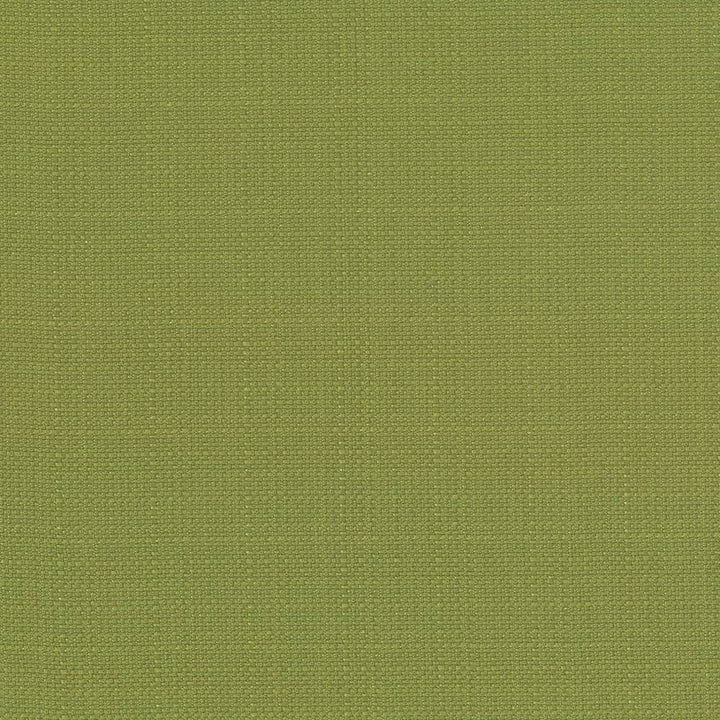 Rumba Apple by Kasmir Fabric 5044 80% Polyester
20% Cotton
 CHINA 42,000 Wyzenbeek Double Rubs </p><p>Repeat: Horizontal: N/A and Vertical: N/A 56 - Fabric Carolina -