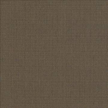 Rumba Chocolate by Kasmir Fabric 5044 80% Polyester 20% Cotton CHINA 42,000 Wyzenbeek Double Rubs H: N/A, V: N/A 56 - 58 - Fabric Carolina - Kasmir