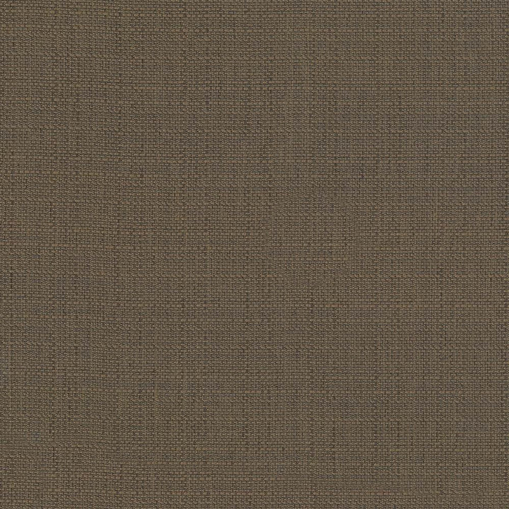 Rumba Chocolate by Kasmir Fabric 5044 80% Polyester
20% Cotton
 CHINA </p><p>Repeat: Horizontal: N/A and Vertical: N/A 56 - 58 - Fabric Carolina -