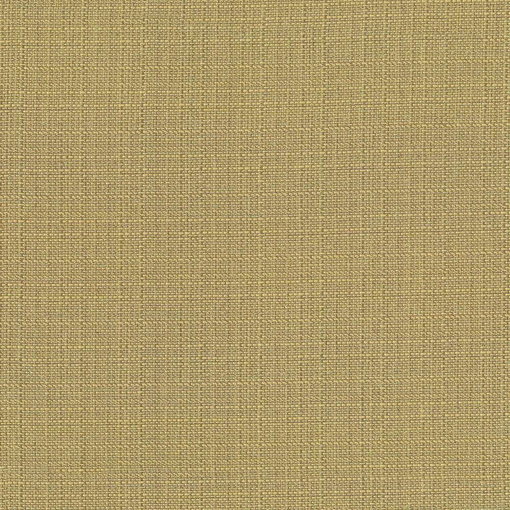 Rumba Gold by Kasmir Fabric 5044 CHINA 42,000 Wyzenbeek Double Rubs H: N/A, V:N/A 56 - 58 - Fabric Carolina - Kasmir