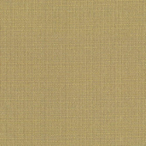 Rumba Gold by Kasmir Fabric