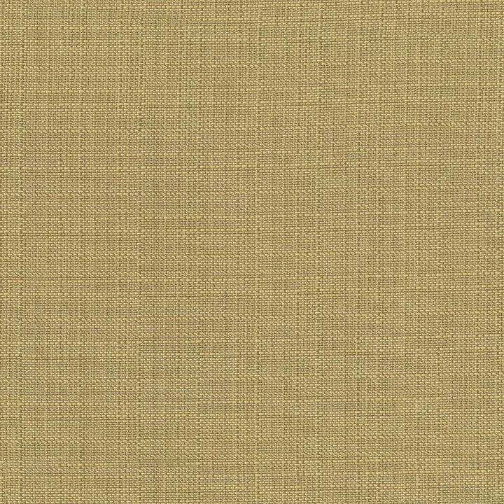 Rumba Gold by Kasmir Fabric 5044 80% Polyester
20% Cotton
 CHINA </p><p>Repeat: Horizontal: N/A and Vertical: N/A 56 - 58 - Fabric Carolina -