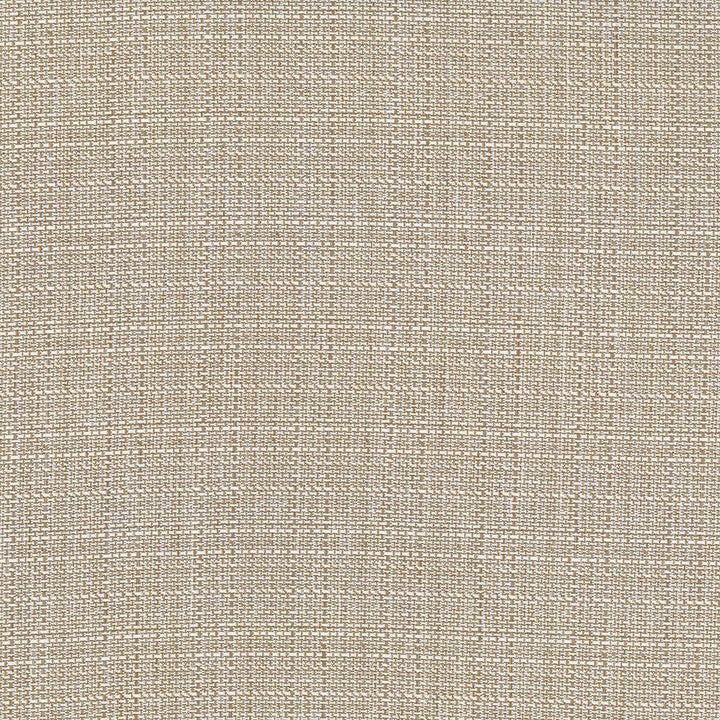 Rumba Latte by Kasmir Fabric 5044 CHINA 42,000 Wyzenbeek Double Rubs H: N/A, V:N/A 56 - 58 - Fabric Carolina - Kasmir