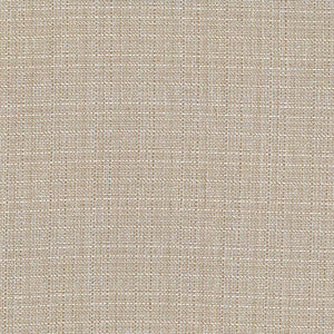 Rumba Latte by Kasmir Fabric