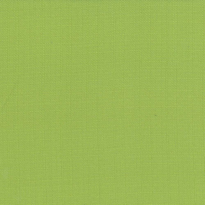 Rumba Lime by Kasmir Fabric 5044 CHINA 42,000 Wyzenbeek Double Rubs H: N/A, V:N/A 56 - 58 - Fabric Carolina - Kasmir